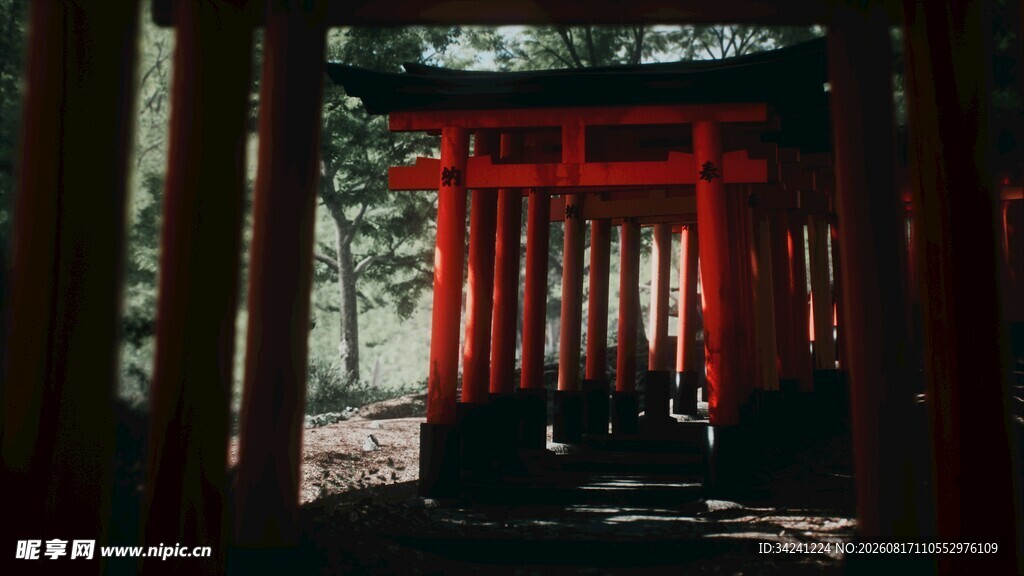红色鸟居林间神秘景致