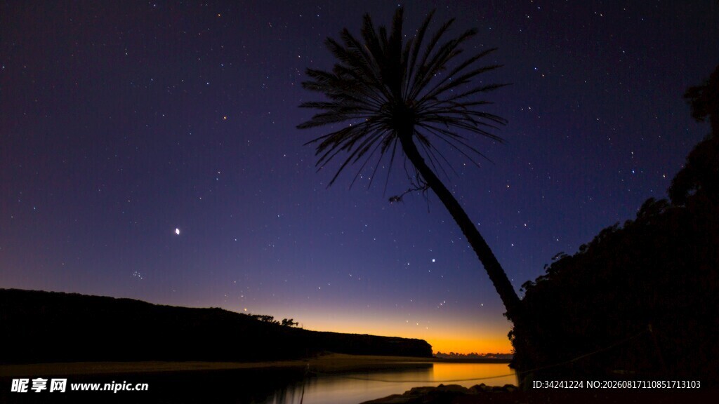 夜空下的孤树与静谧湖景
