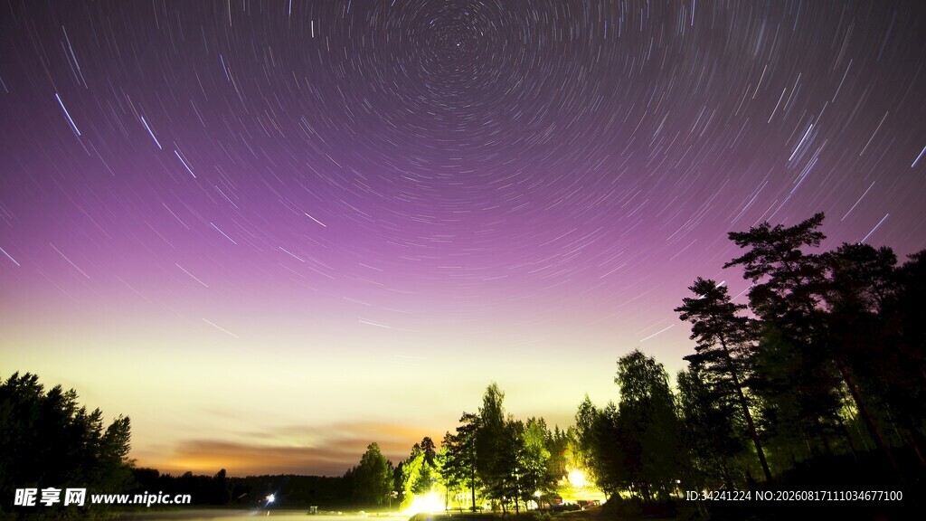 夜空星轨下的静谧树林