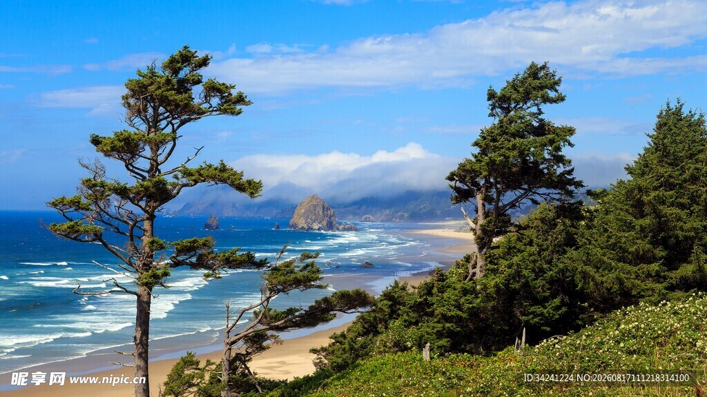 海岸边的绿树与蔚蓝大海