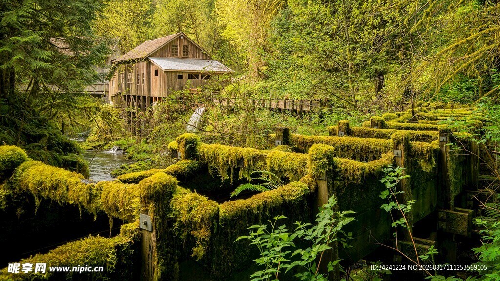 山林间的苔藓小屋与迷宫