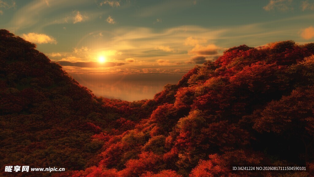 夕阳下的绚烂山林景色