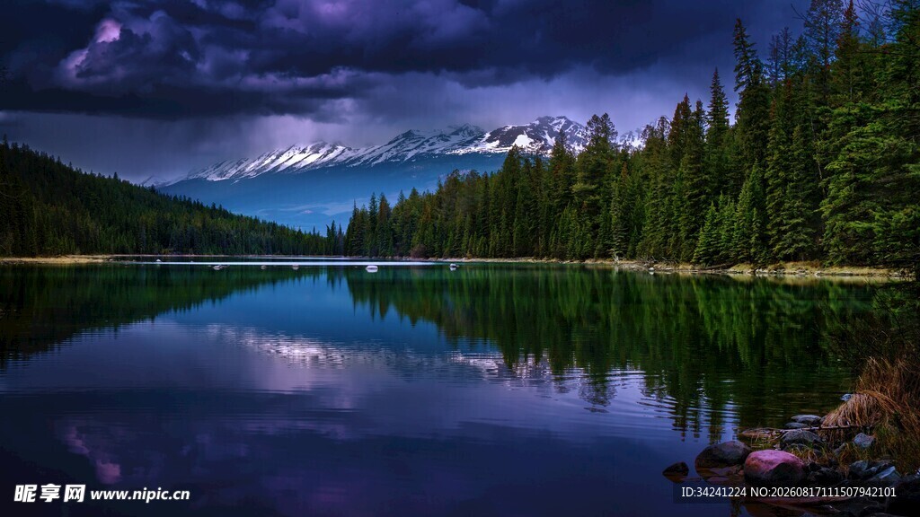 宁静湖畔森林夜景