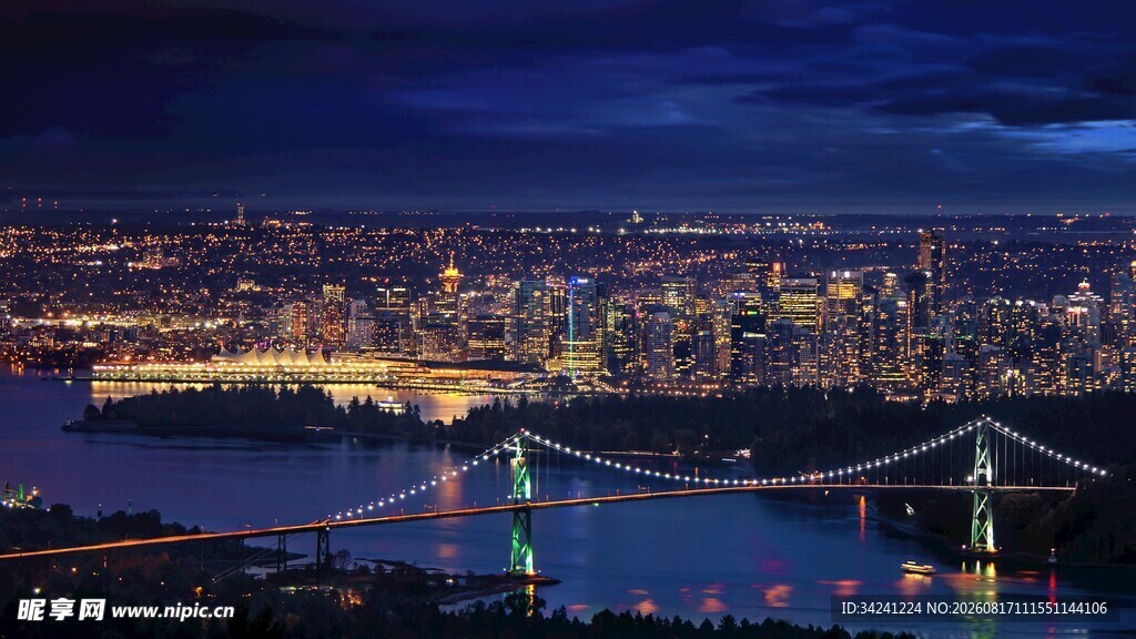 夜幕下的城市桥梁美景