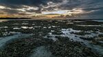 黄昏下的湿地景观