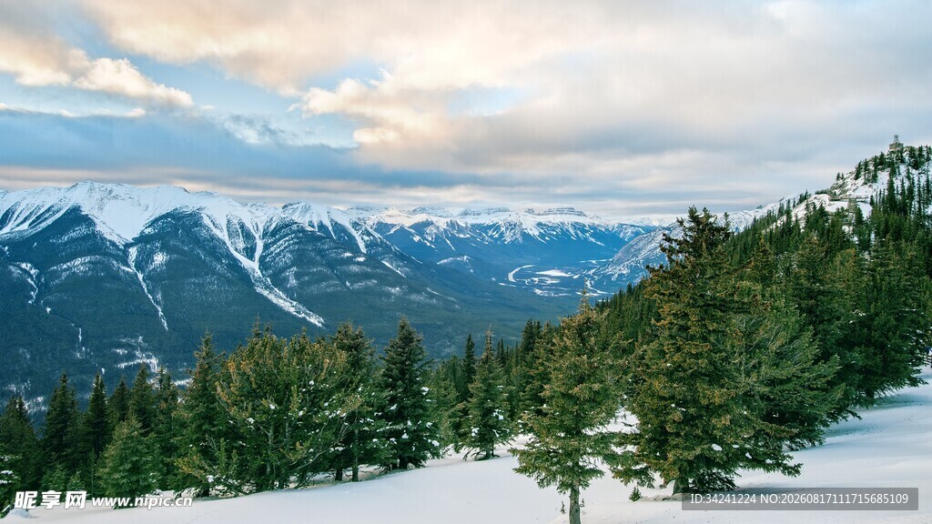 雪山森林壮丽自然景观