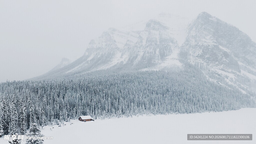 雪覆山峦与林海美景
