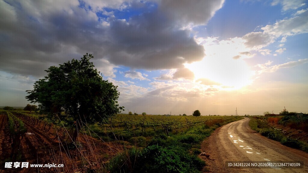 夕阳下的乡间土路美景