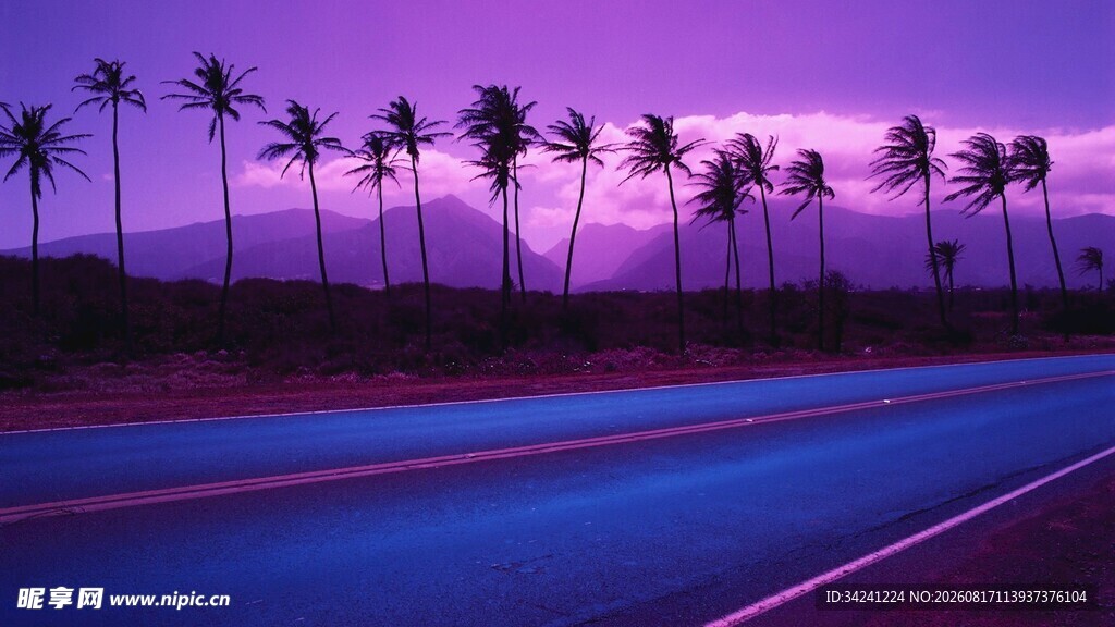 黄昏公路旁的椰林美景