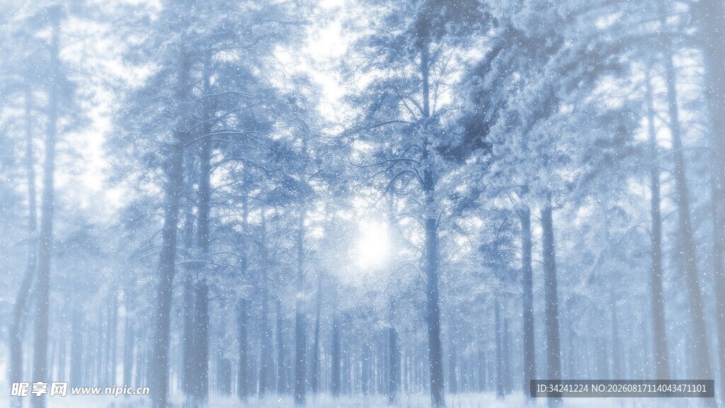 冬日雪林美景