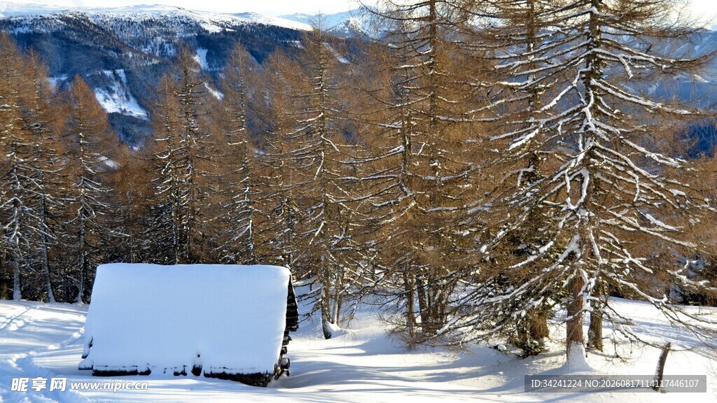 雪覆山林中的静谧小屋