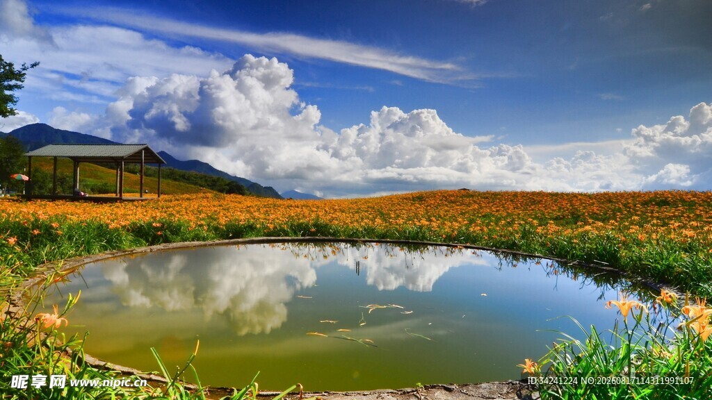 田园湖畔美景