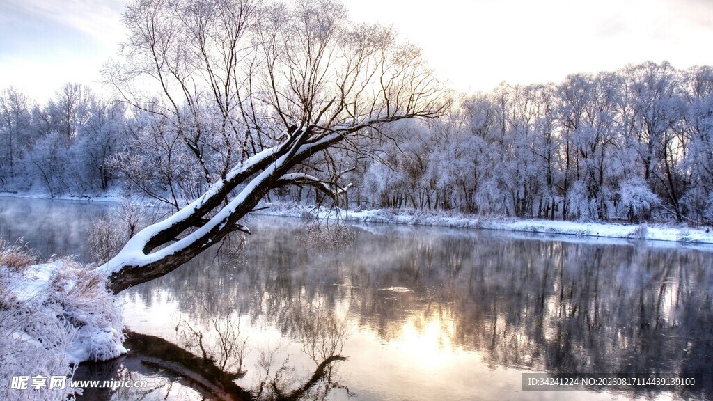 冬日河畔雪景孤树映寒水
