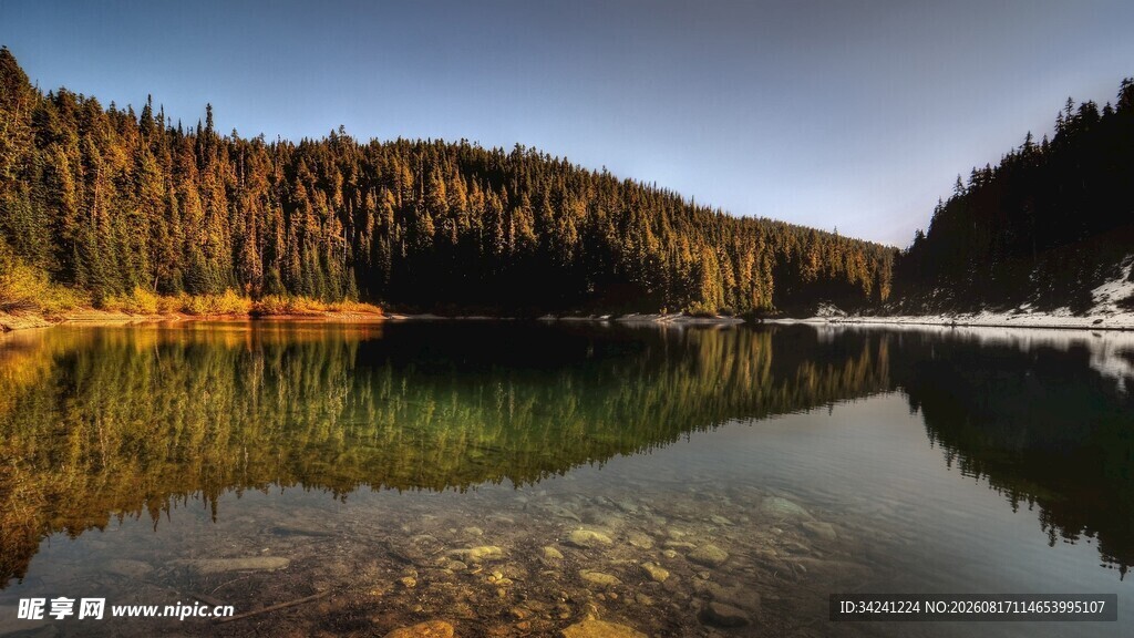 宁静湖畔的自然美景