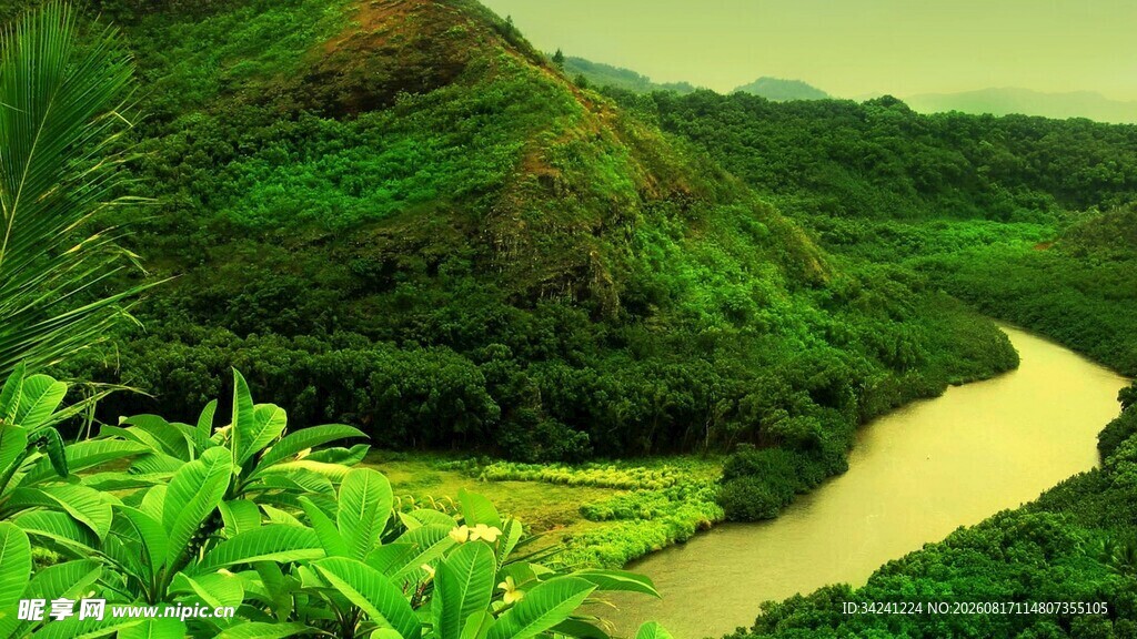 山间蜿蜒河流与葱郁植被