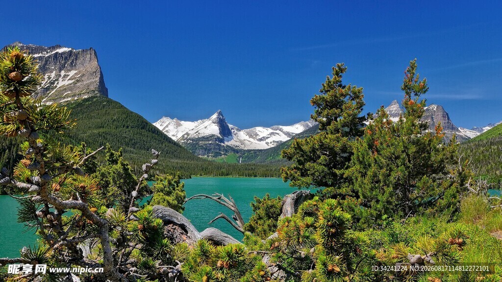 高山湖畔的秀丽自然景观