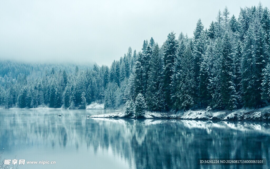 冬日静谧湖景雪覆松林