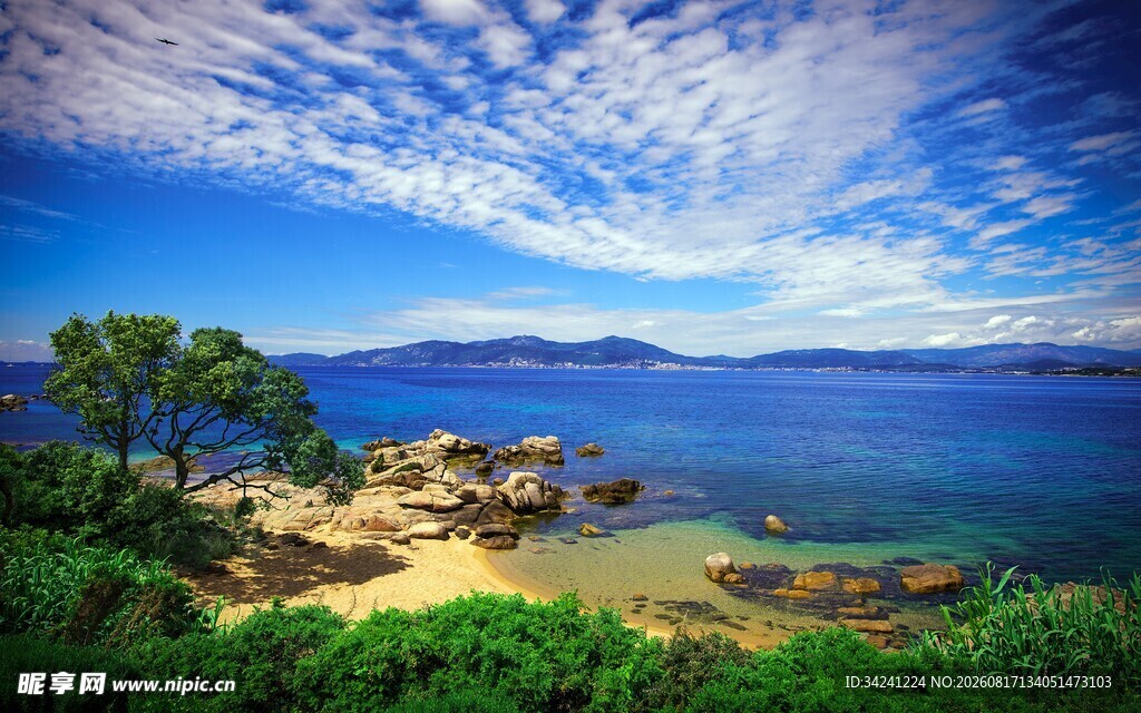 海边美景绿树蓝天与碧海