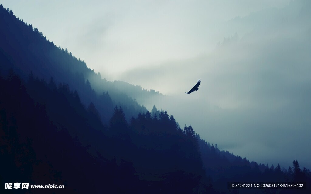 山间飞鸟云雾缭绕之景