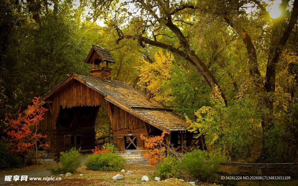 林间小屋静谧自然之景