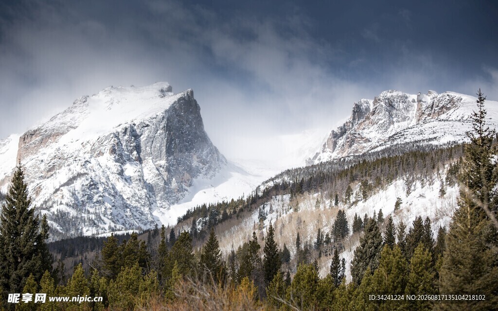 雪山森林壮丽自然景观