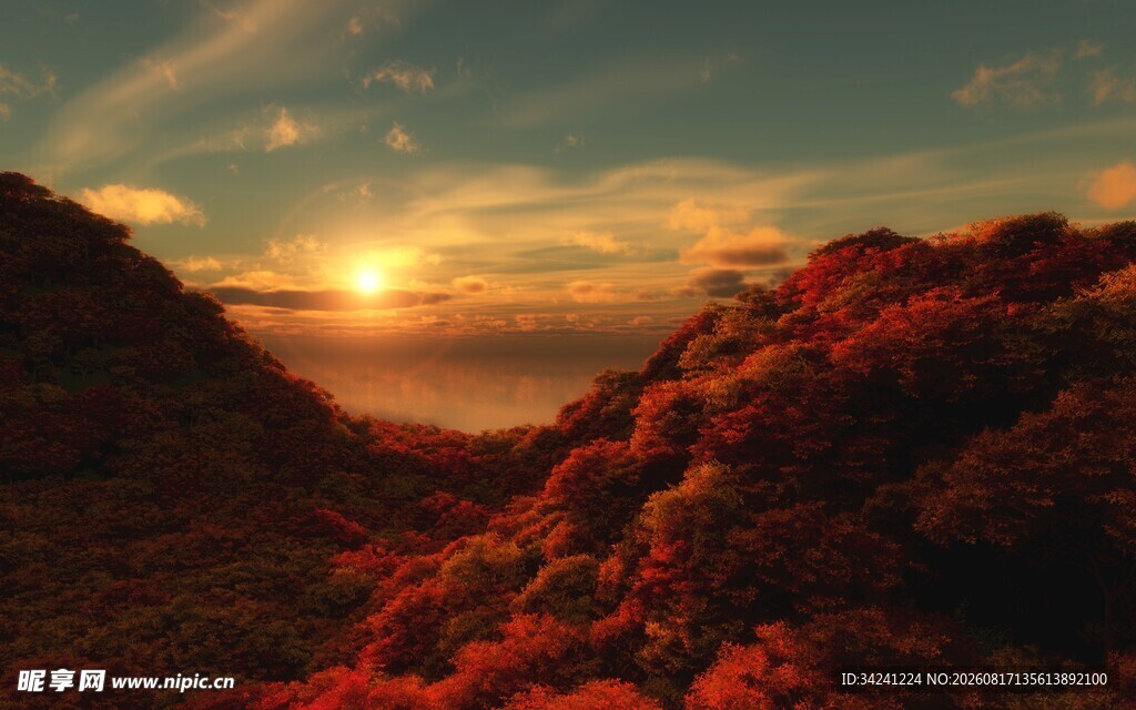 夕阳下的绚烂山林景色