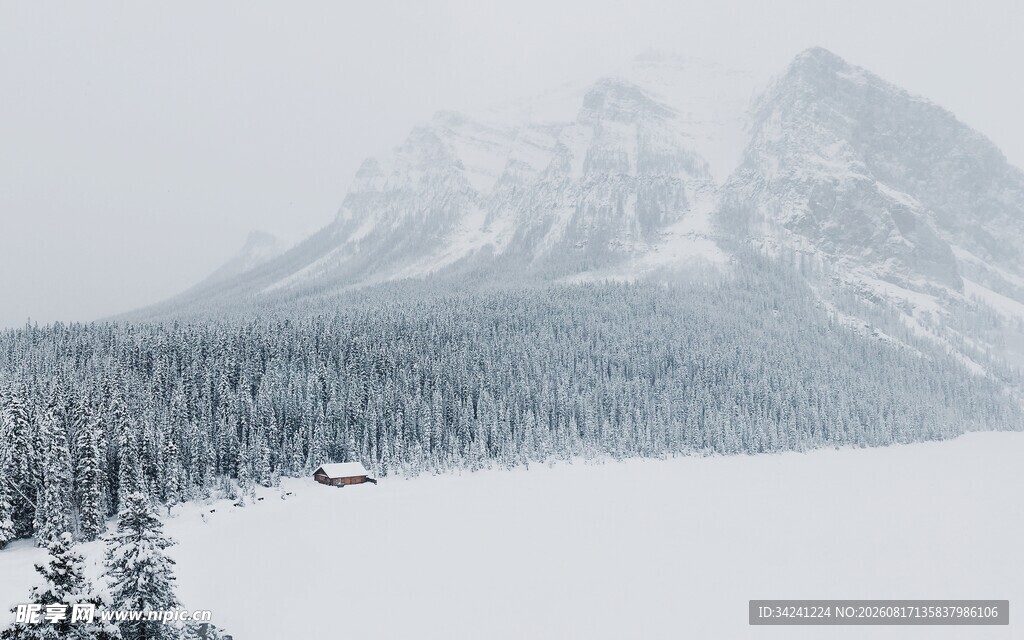 雪山雪景中的静谧森林
