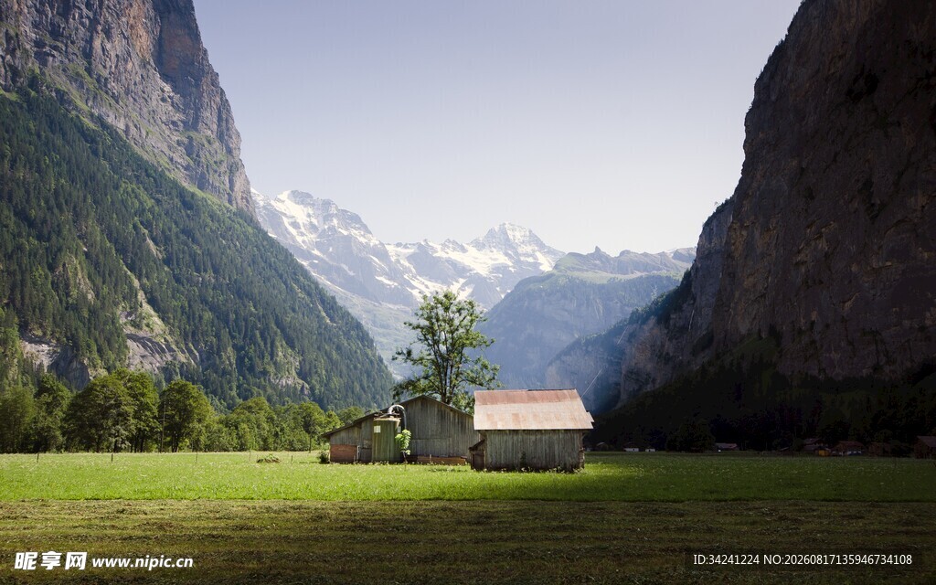 山间草地中的静谧小屋