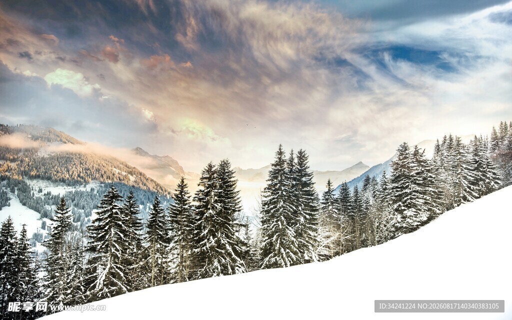 冬日雪山松林壮丽美景