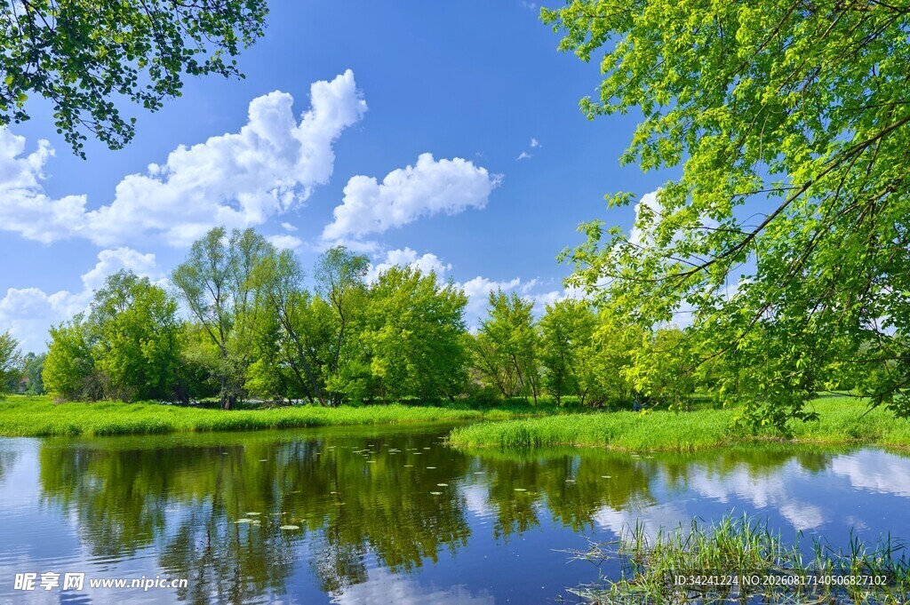 湖畔绿野蓝天绿树的美景