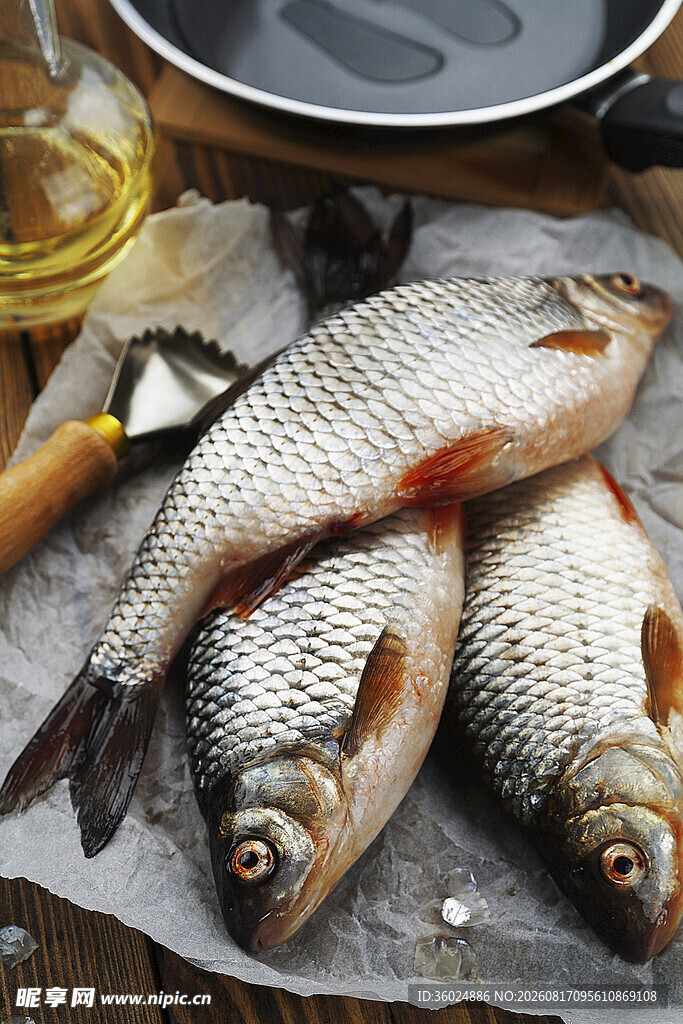 新鲜活鱼待烹饪