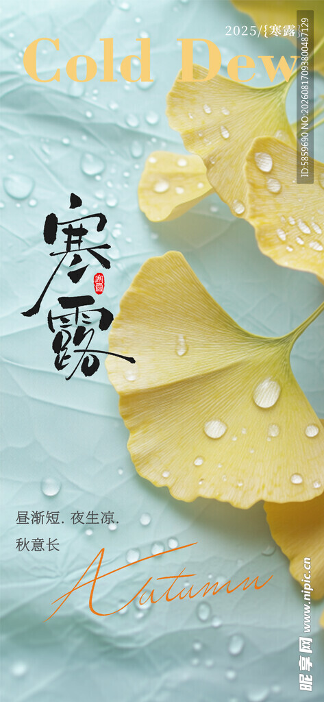  寒露 