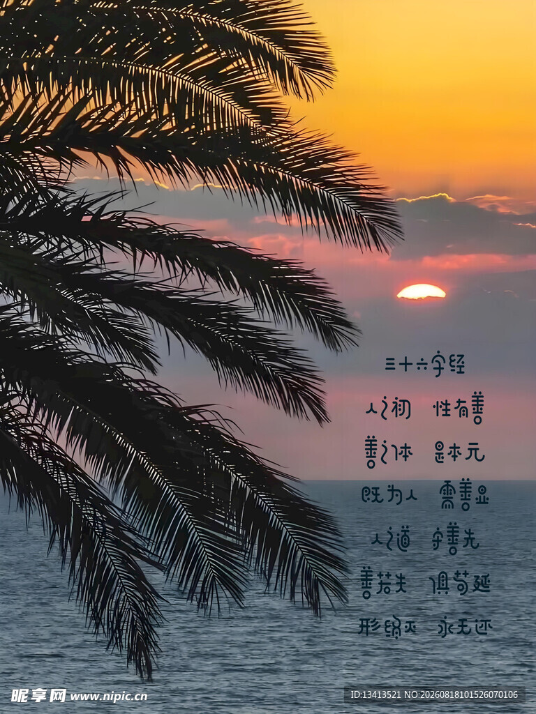 海边棕榈下的诗意日落