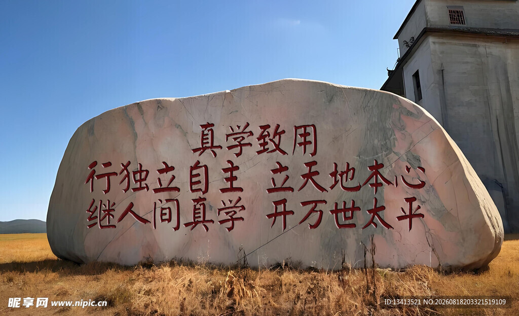 校园励志景观石 真学致用