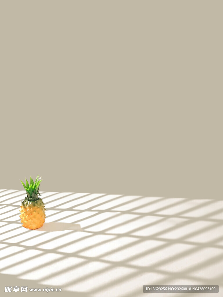 儿童写真