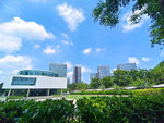 城市现代建筑与绿植景观