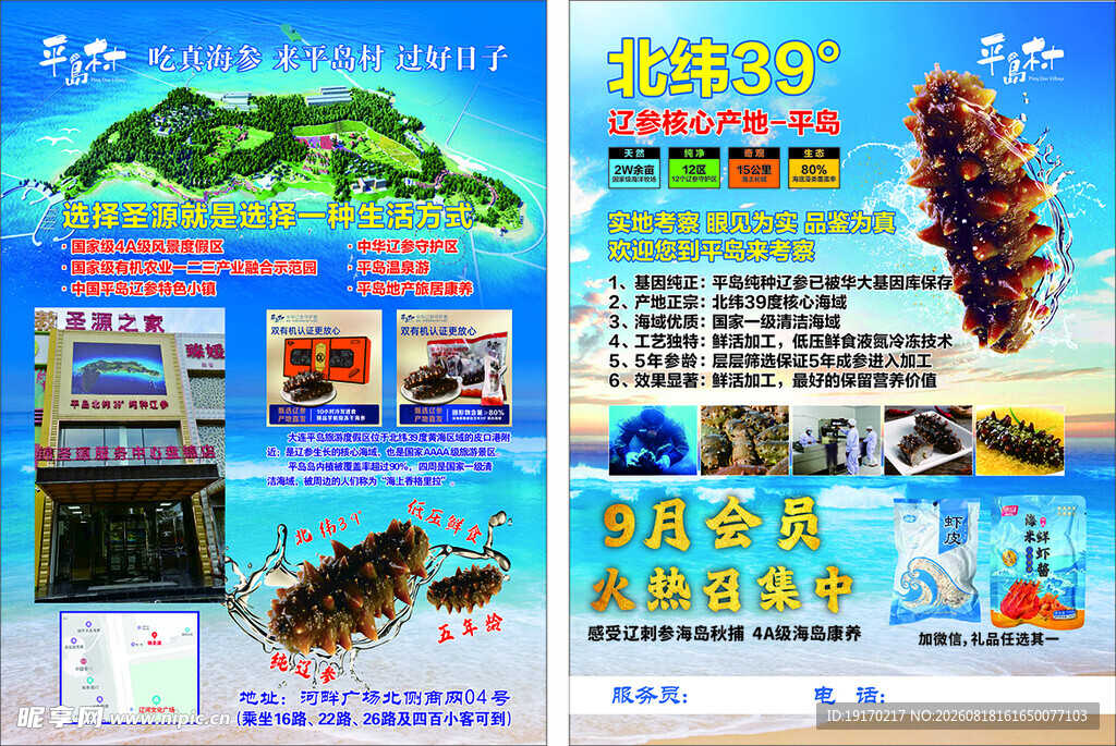 海岛旅游海参宣传页