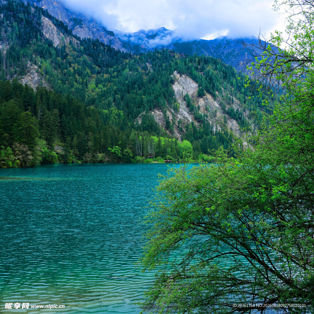 青山绿水间的幽美湖泊