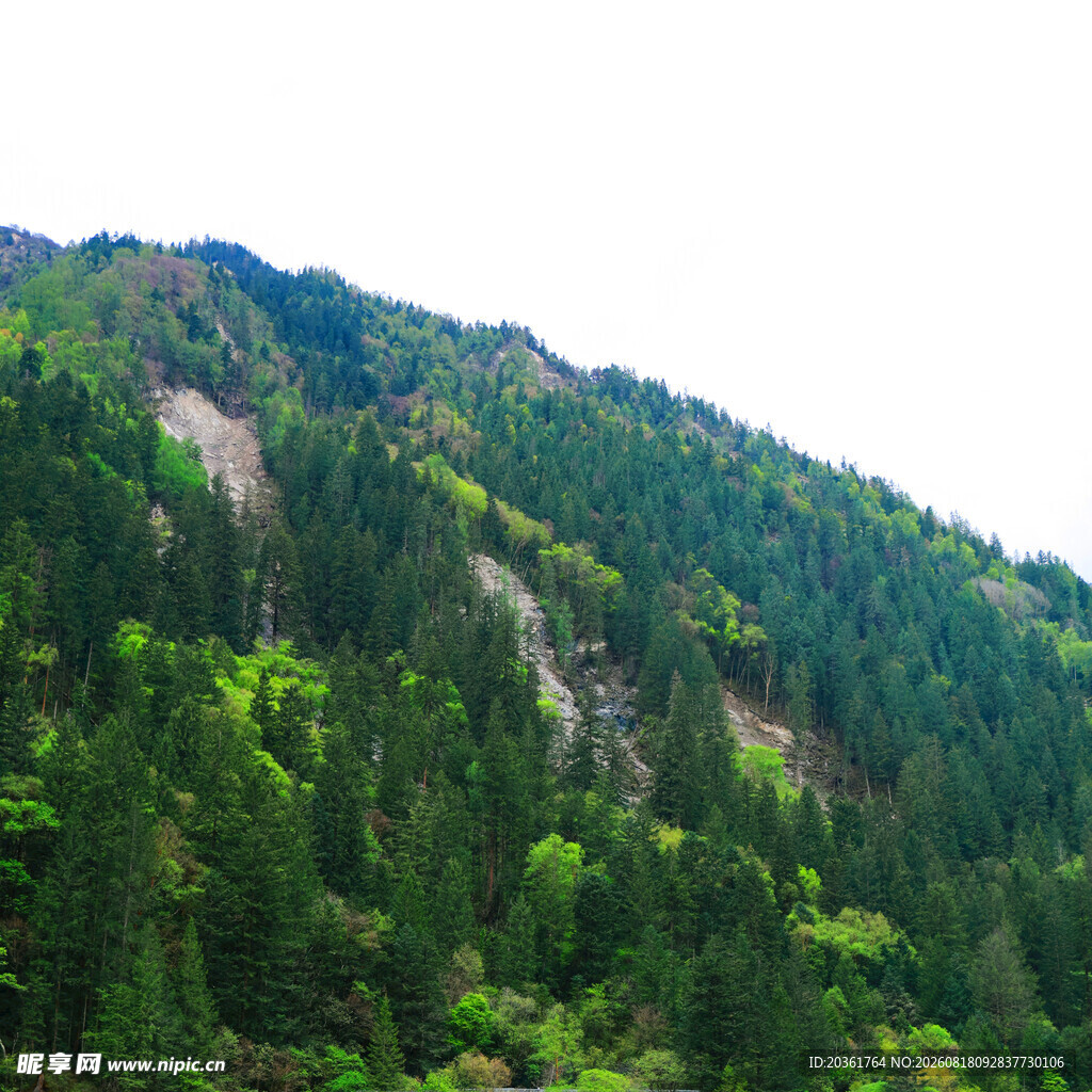 翠绿山峦间的自然景致