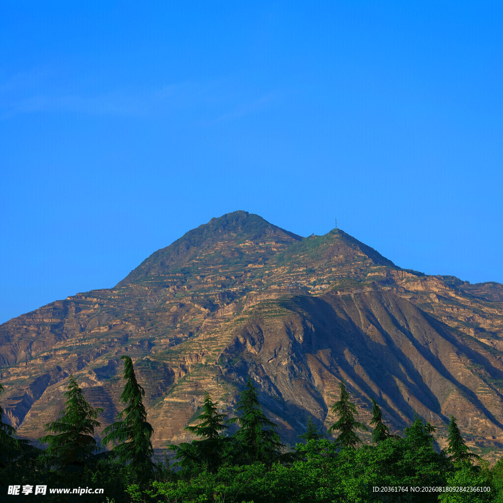 巍峨青山与葱郁林木