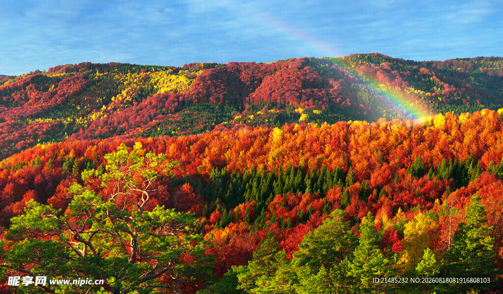 秋日山林彩虹美景