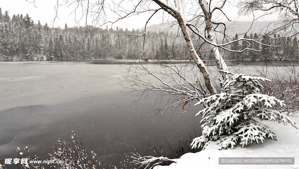 雪覆湖畔树景