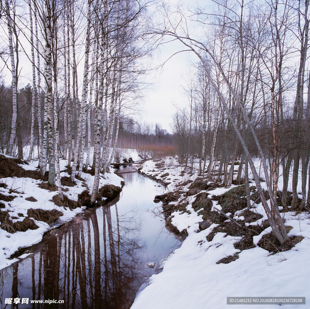 冬日雪覆林间小河美景