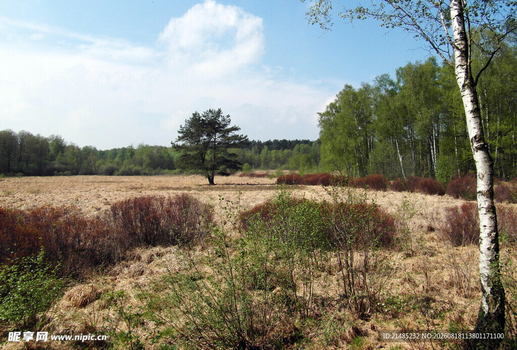 春日郊野风光