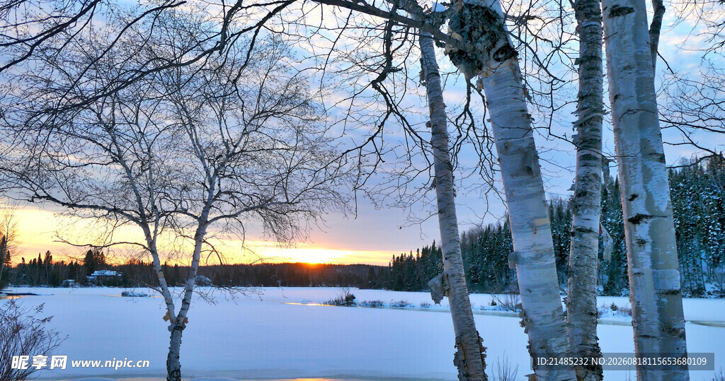 冬日雪林湖畔绝美日落时分