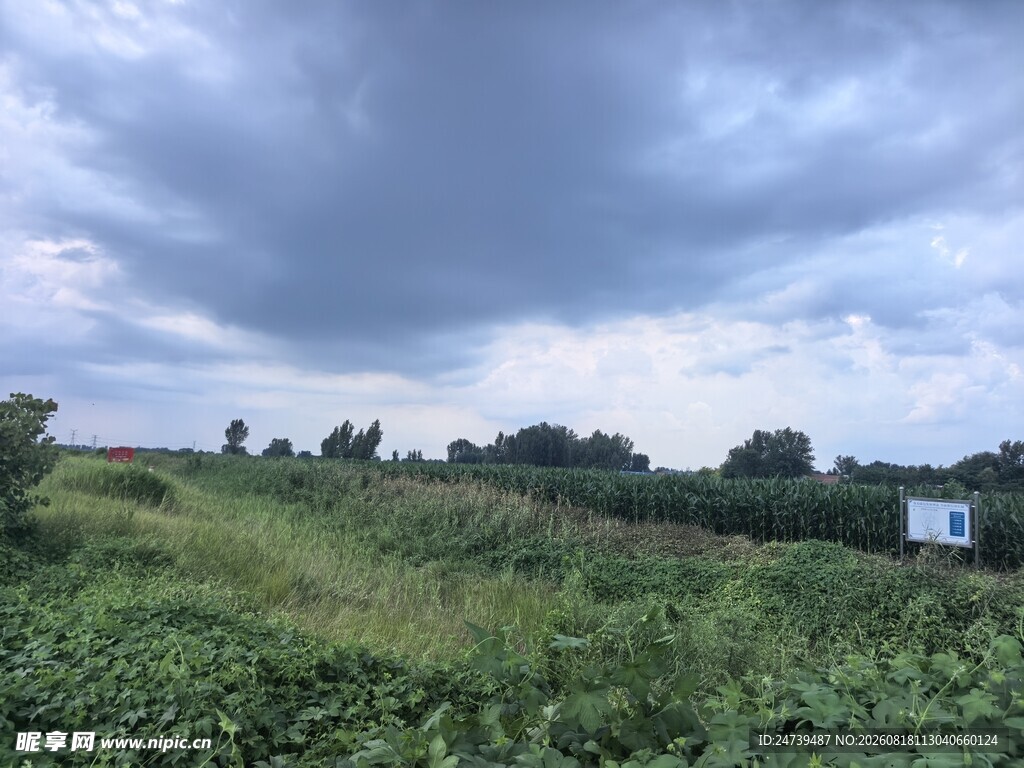 田野上空的厚重乌云