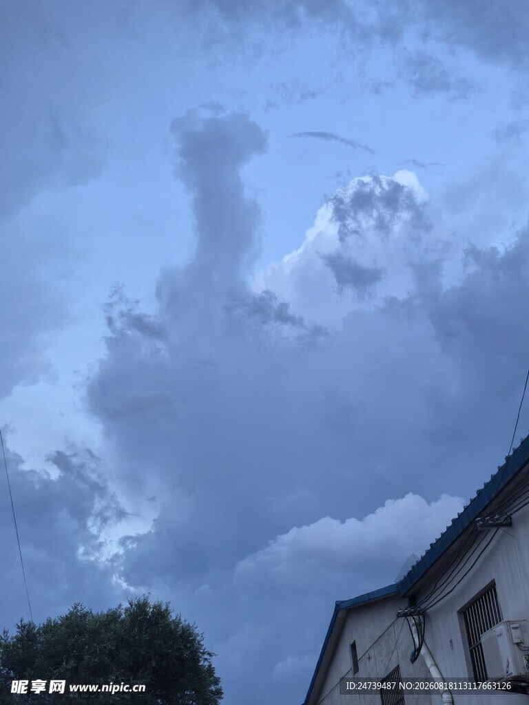 天空中形态各异的云朵