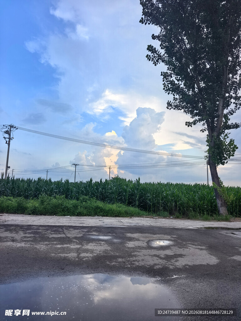 雨后乡村道路与绿树蓝天