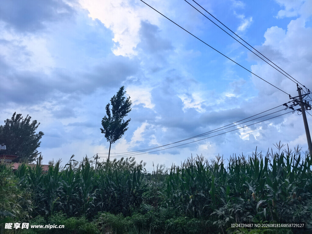 乌云下的田野景观