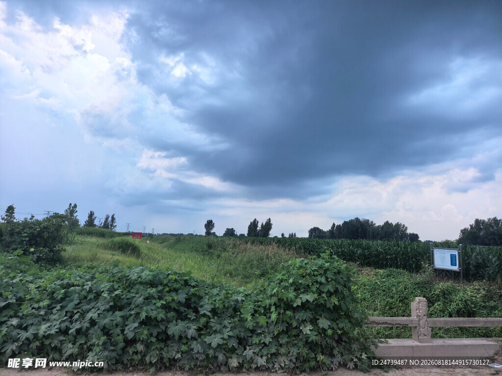 乌云下的田野景观